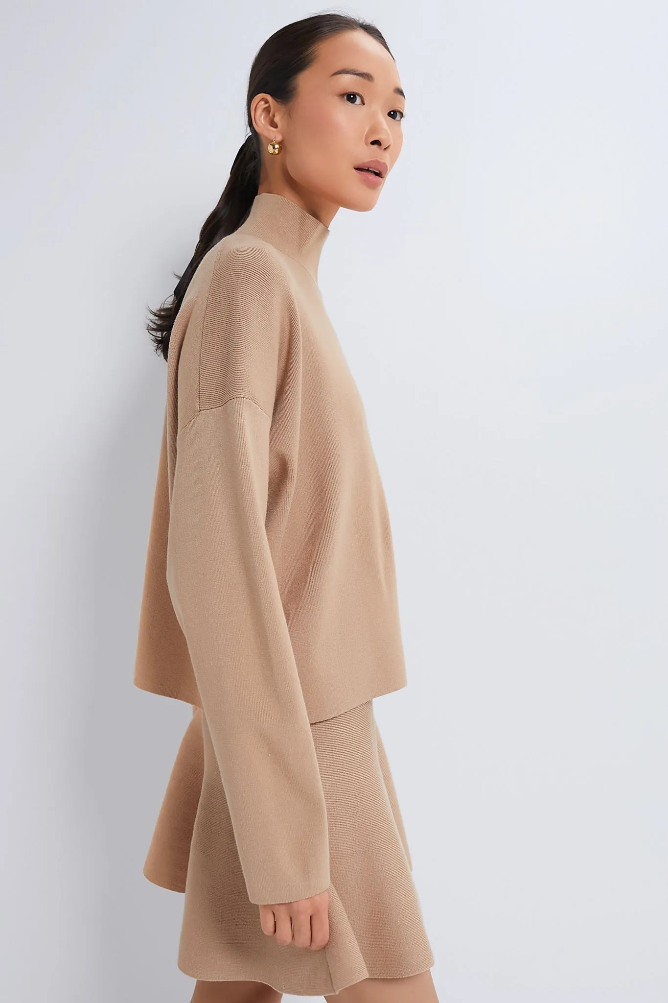 Tan Cessie High Neck Sweater